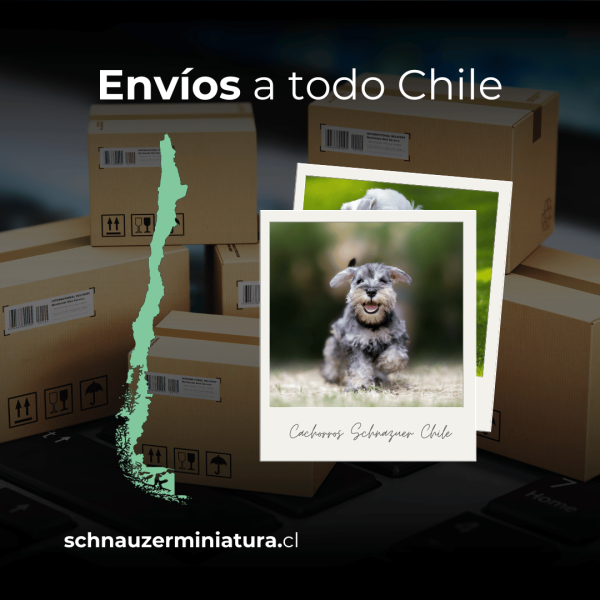 Envíos a todo chile